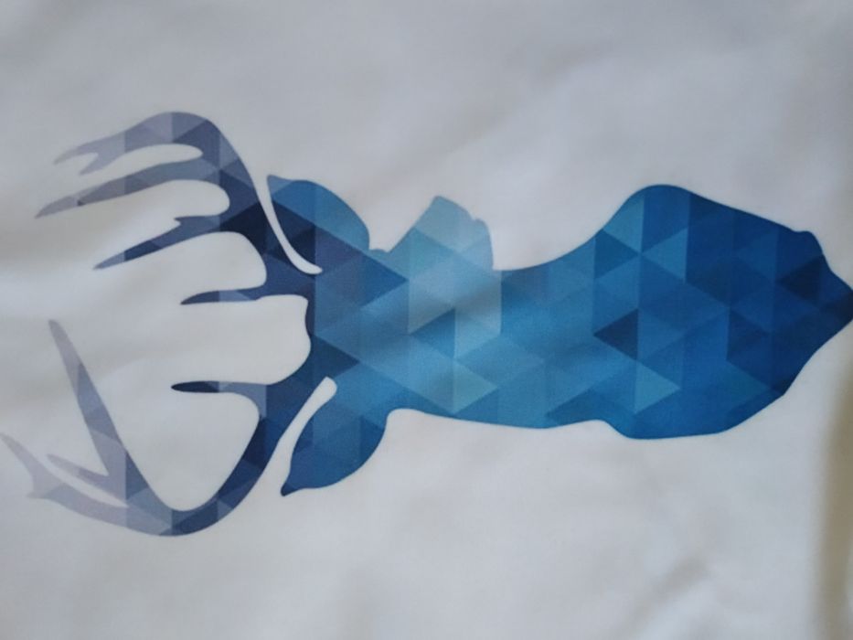 Наволочка на декоративну подушку, 43*43