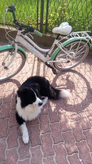 Rower dla dzieci