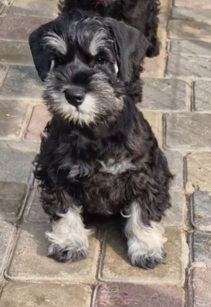 Подросток с документами.