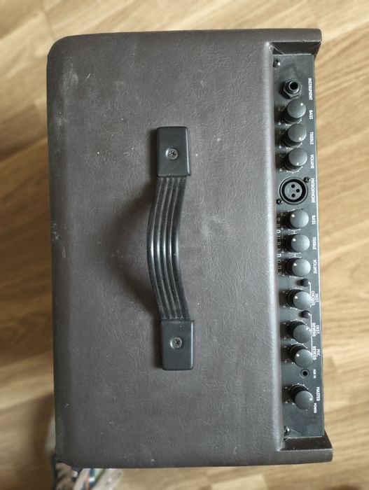 Coluna para guitarra acústica Ibanez  TROUBADOUR T30II