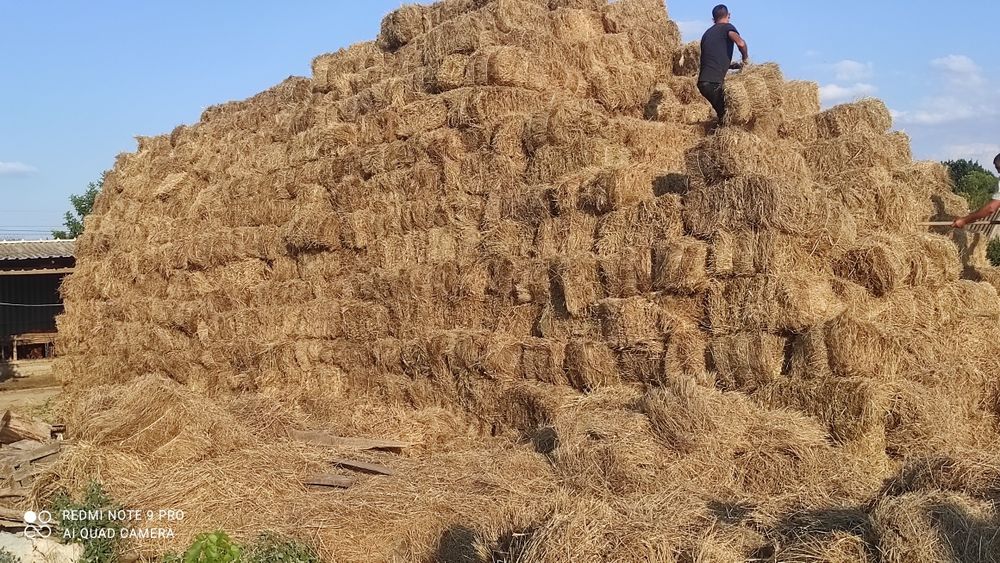 Продам сено в тюках ...