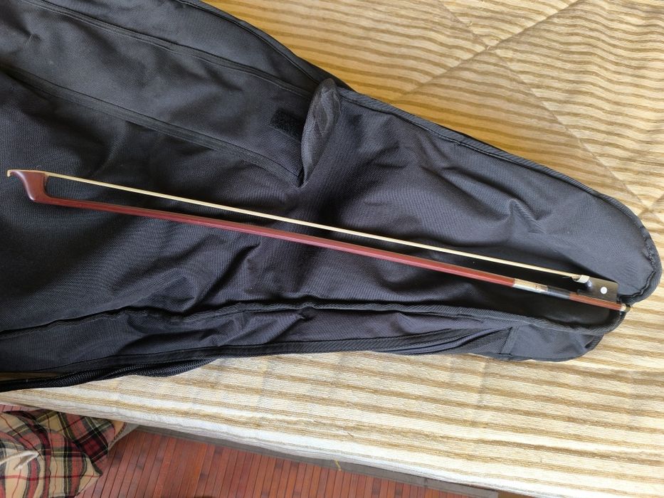 Capa para violoncelo, arco e livros diversos