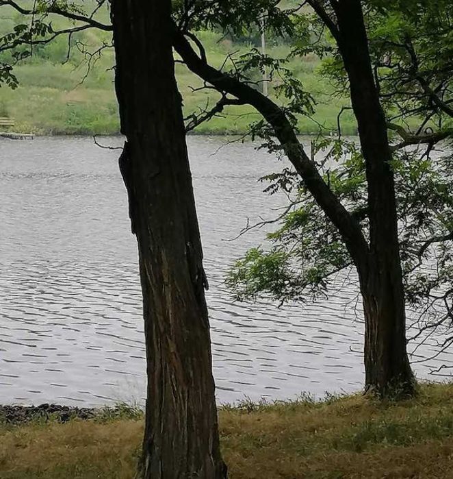 Земельна ділянка на березі водойми під будинок.