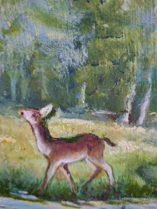 Картина олійні фарби 60х46см