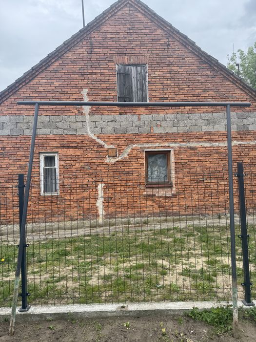 Trzepak ogrodowy grafit