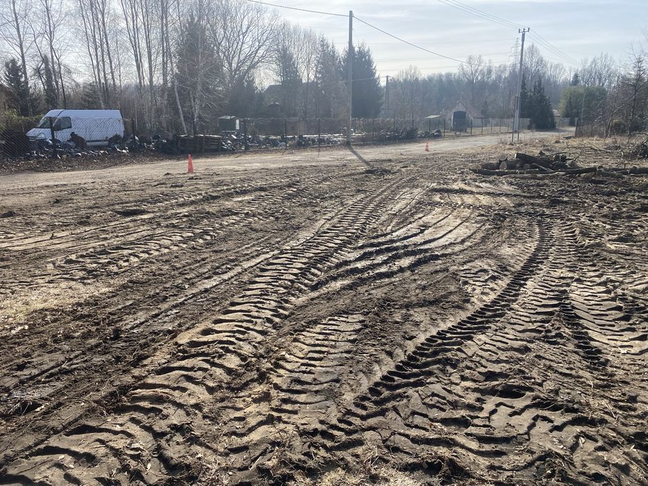 Wycinka drzew, sprzatanie terenu