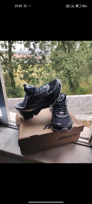 Mizuno wave profecy