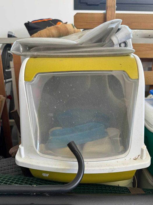 várias peças para gatos com tudo