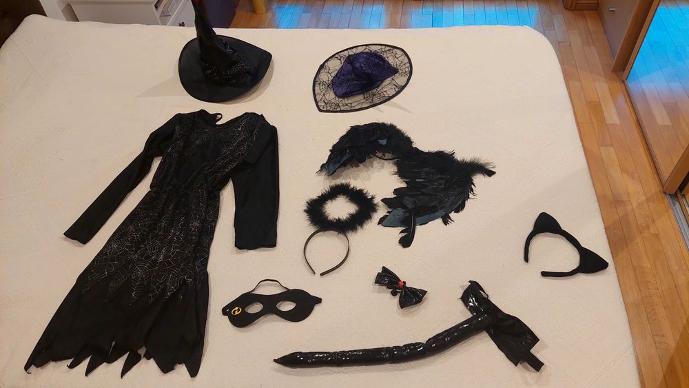 Halloween Costume and Accessories