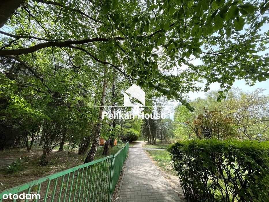 2 pokoje, loggia i ogródek 60m2