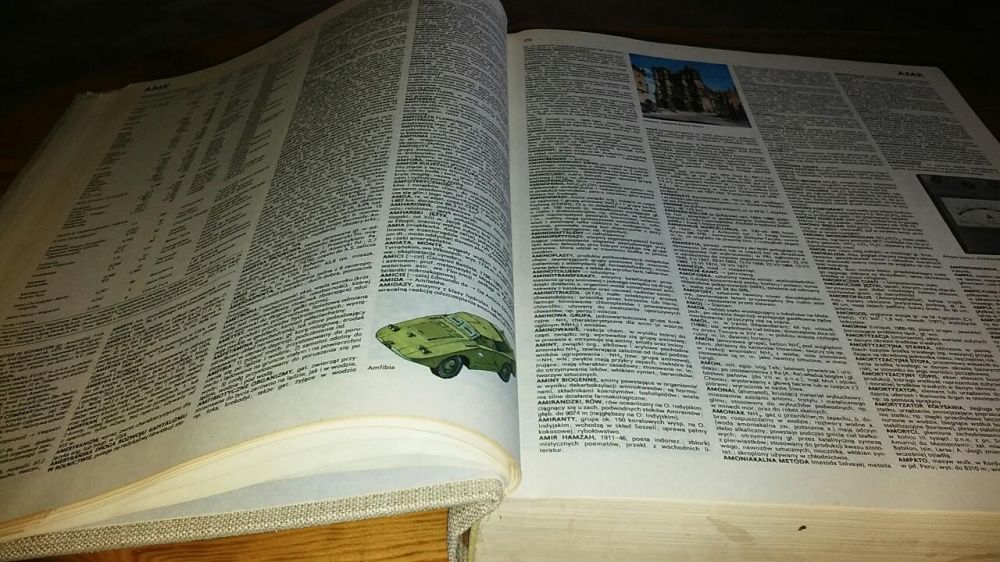 Zarys Historii Polski i inne