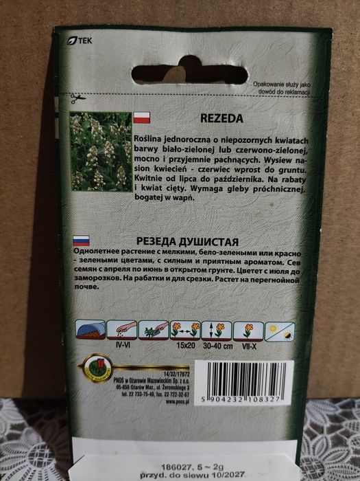 Rezeda wonna nasiona