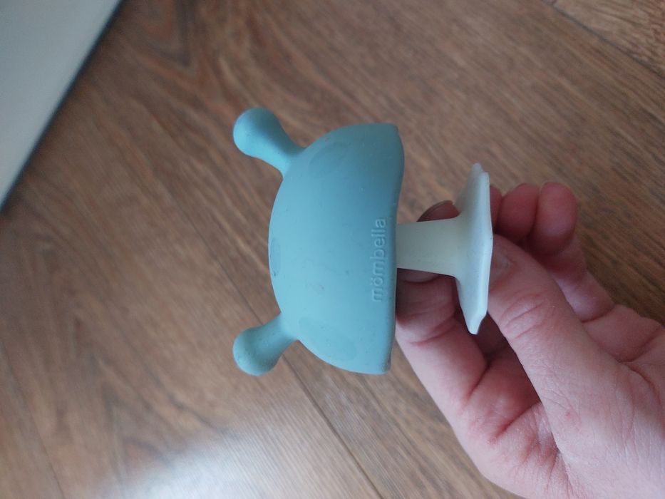 Gryzak mombella grzybek