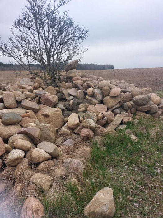 Kamienie na skalniak