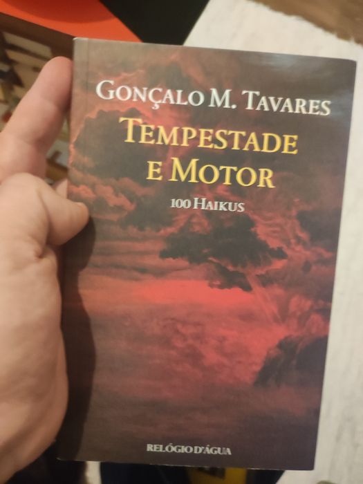 Tempestade e Motor, 100 haikus - Gonçalo M. Tavares
