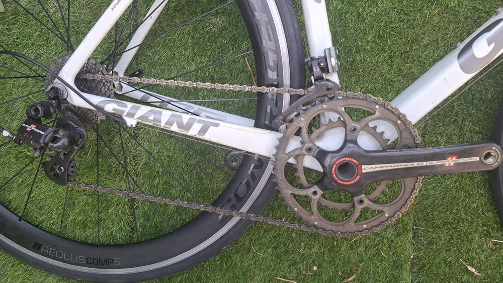 Giant Tcr carbono t54
