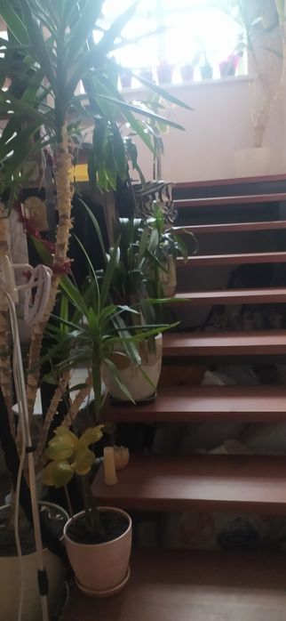 Оренда кімнати в приватному будинку