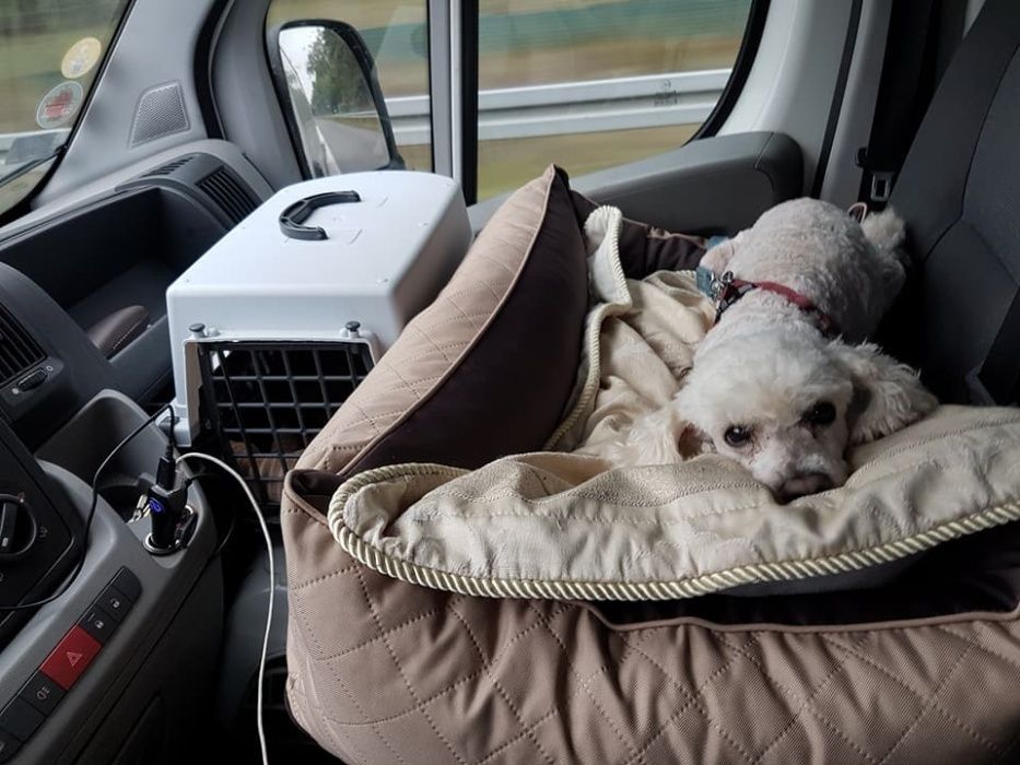 Kurier Irlandia Polska irlandia usługi transport przeprowadzki