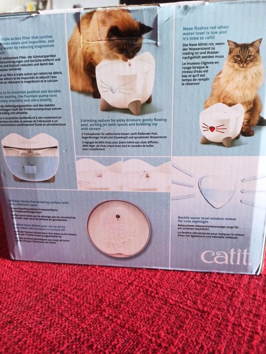 Fonte de gato Catil