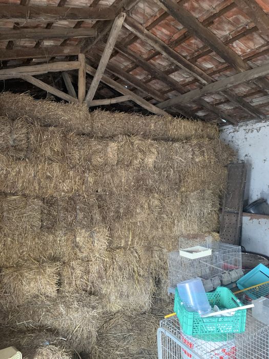 Fardos de feno pequenos excelentes