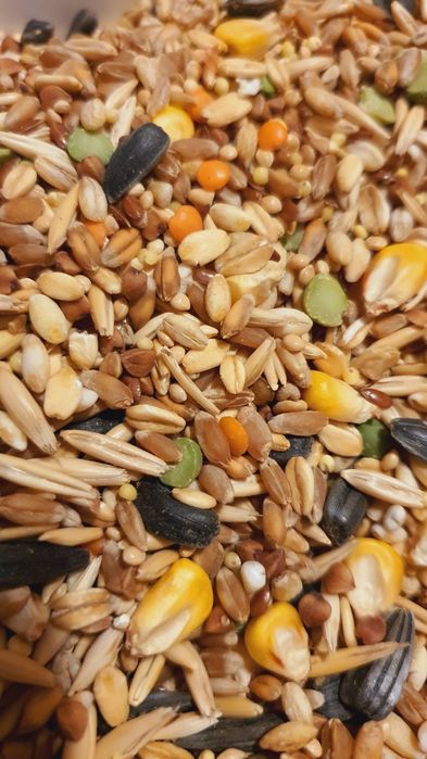 Корм 12 злаков для хомяков, крыс, мышей для грызунов