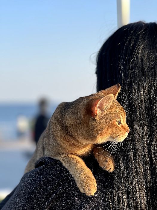 Шикарный ,нежный и ласковый мальчик