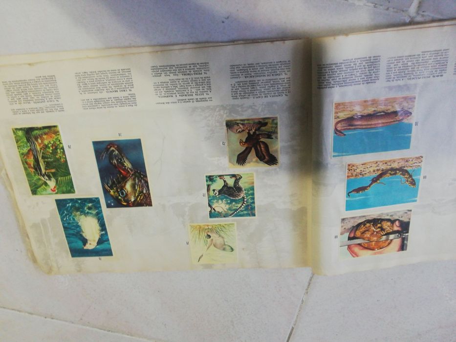 Caderneta de cromos antiga