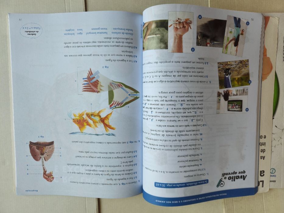 Livros/Manuais Escolares 6° Ano Ciência Viva/Ciências Naturais Parte 1