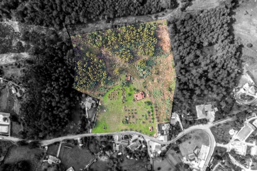 Quinta com 3 hectares a 20 km de Lisboa