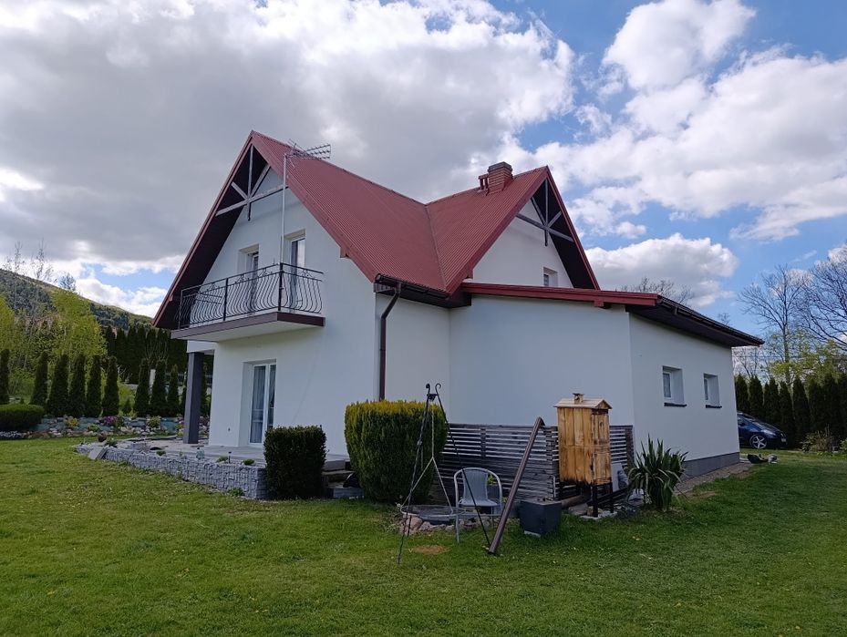 Mycie, malowanie elewacj, docieplenia