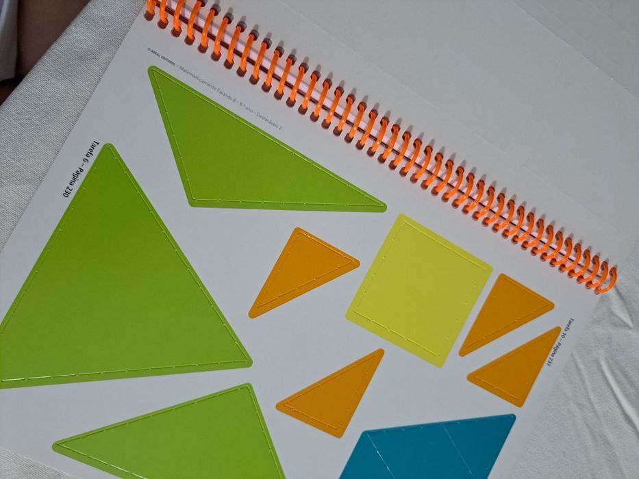 Caderno de atividades Matematicamente falando 8 ano