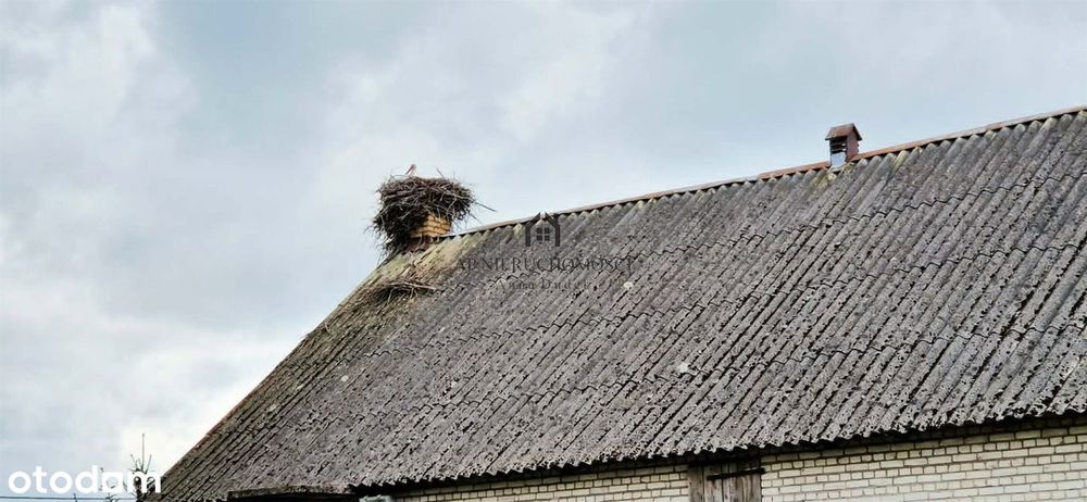 Gospodarstwo rolne, 5,7ha Jabłków gm. Kramsk - Więcej
