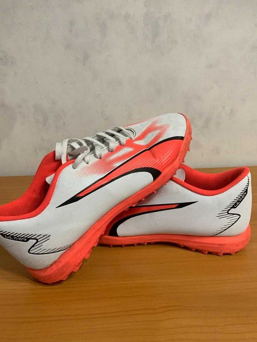 Сороканіжки Puma