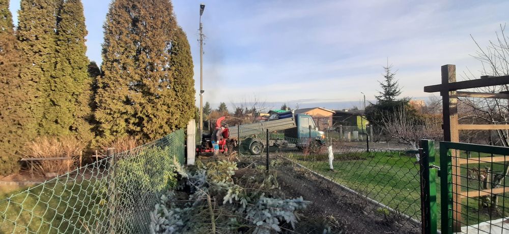 Wycinka drzew,Usuwanie wiatrołomów,Mielenie gałęzi, wycinka tui