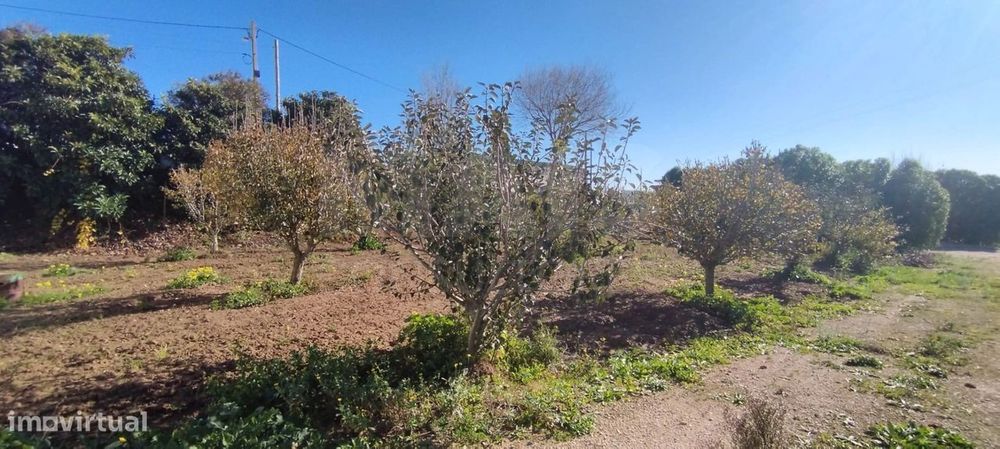 Terreno para Moradia T4 com Projeto Aprovado e Anexos | Lourinhã