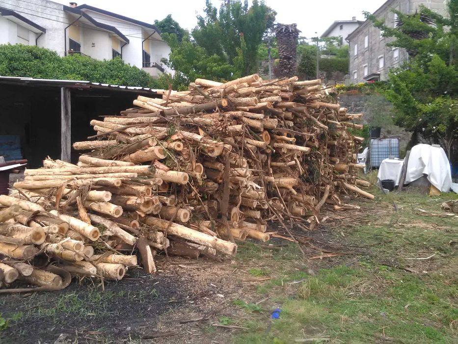 Vendo lenha ao domicílio