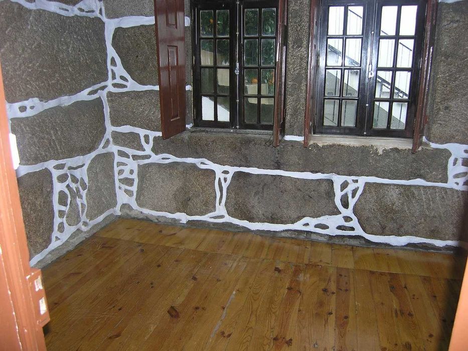 T3 R/ch de vivenda – Canas Senhorim