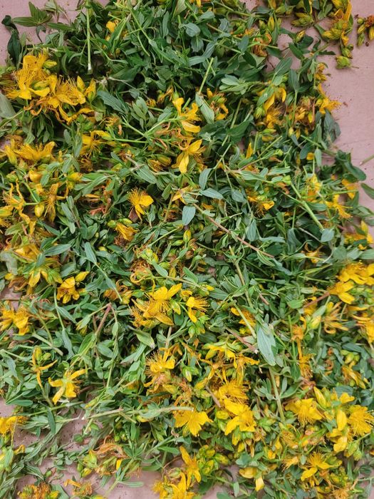 Ziele dziurawca suszone 40gram