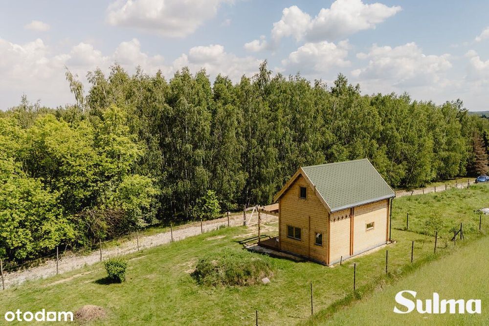 W samym sercu natury 889m Łódź | Bałuty I Moskule - Widok 2