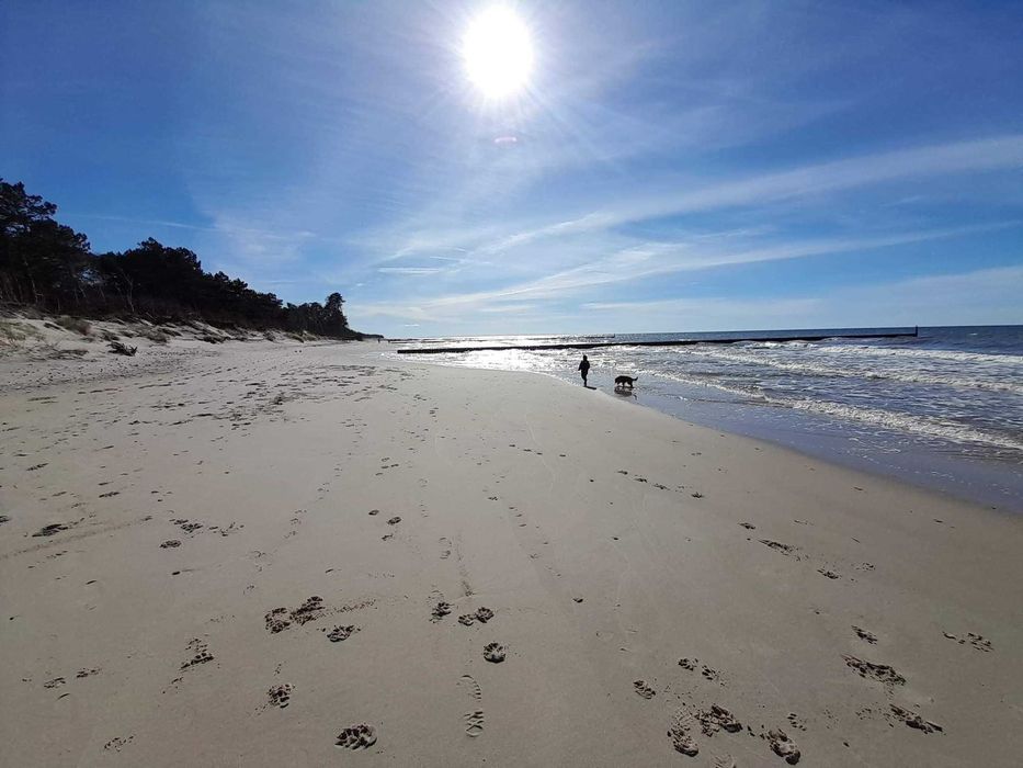 Samodzielny domek na ogrodzonej działce - 300m od plaży!
