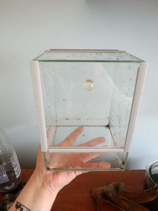 Terrarium pionowe szklane wysyłka