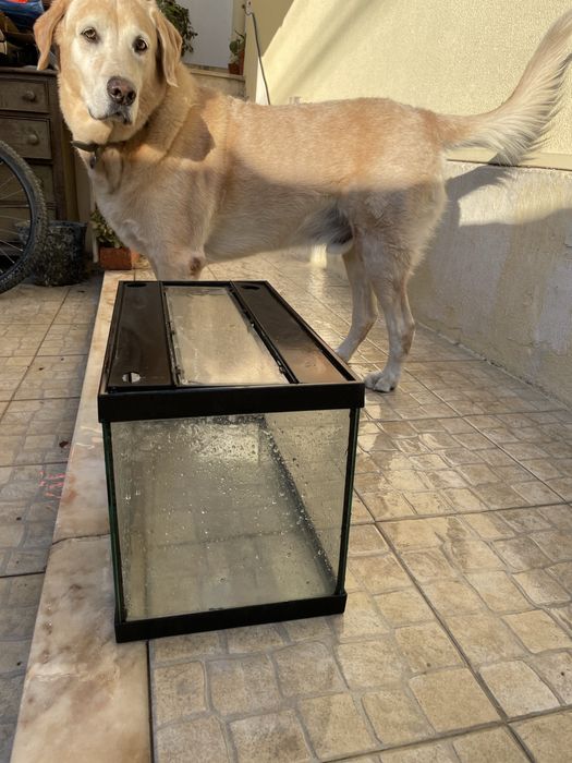 Vendo aquario para peixes tartarugas ou repteis