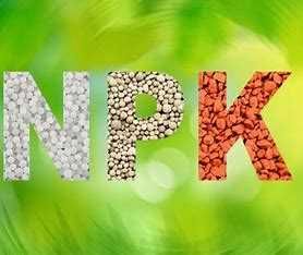 npk 8-20-30, nawozy, wapno, wieloskładnik, saletra, mocznik, saletrzak