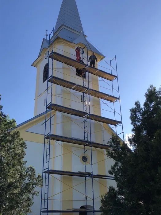 Здам лешені в оренду