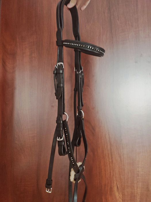 Ogłowie meksykańskie Full