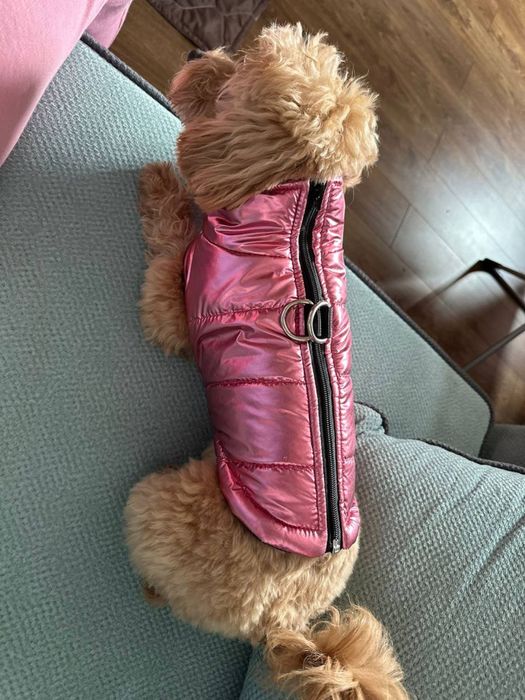 Розовая жилетка для собачки 3-3,5 кг, розмер М, обежда для собачки