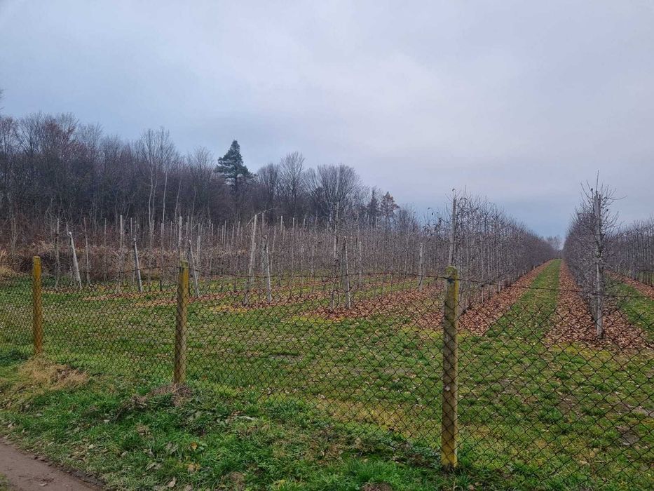 Działka budowlana 3800 m² - Widok 2