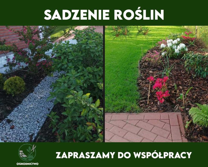 Wszystkie Prace Ogrodowe