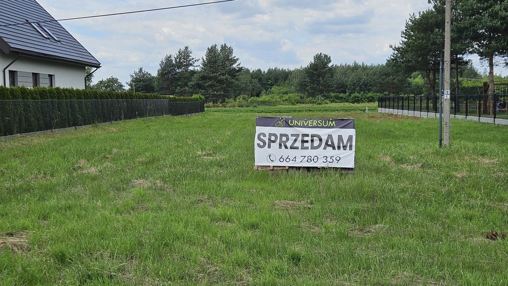 Działka w Wolii Chorzelowskiej
