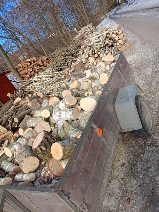 Drewno opałowe brzoza olcha jesion sosna